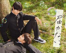 seo是怎么优化网站的